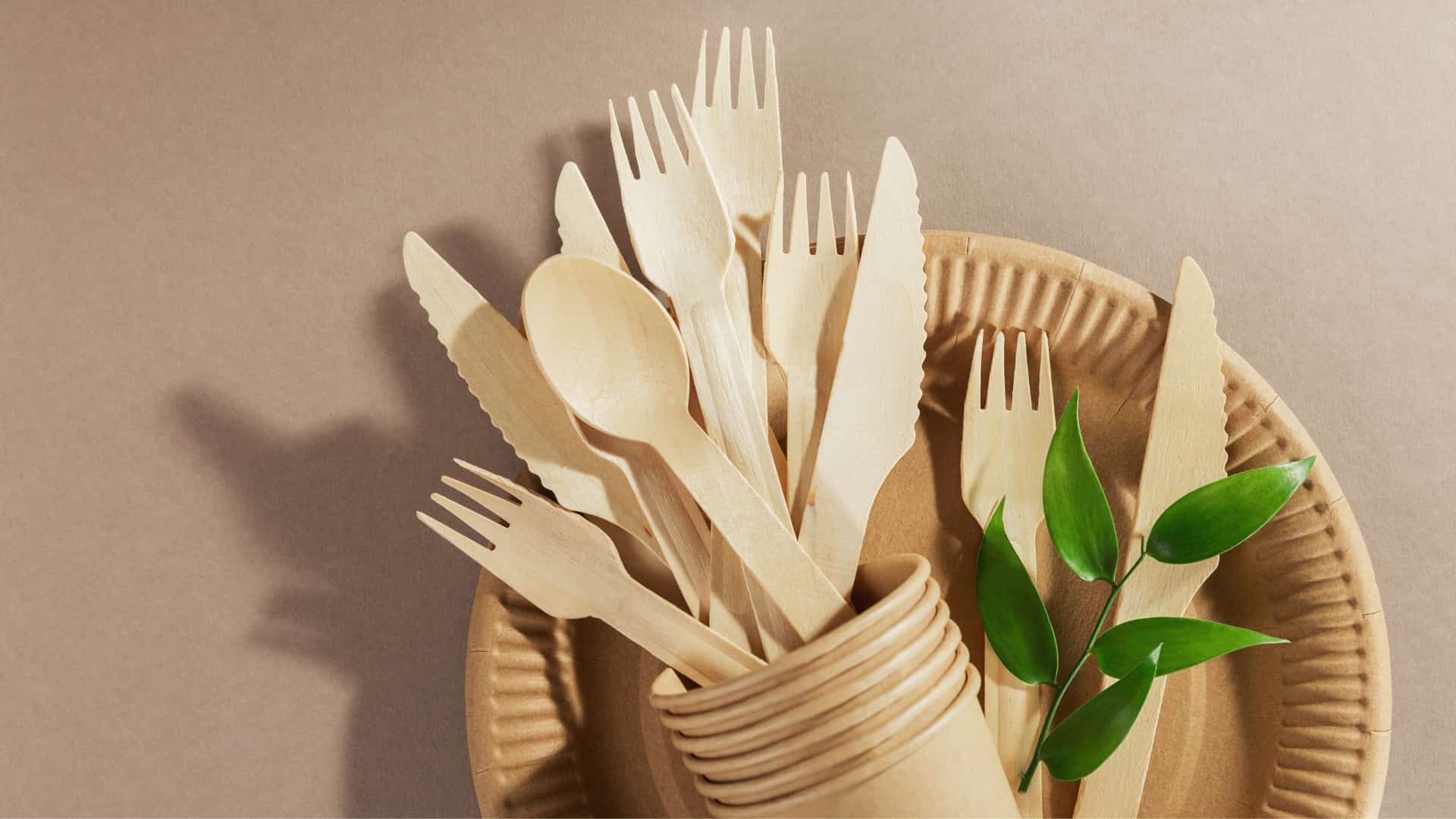 sustainable cutlery with plant