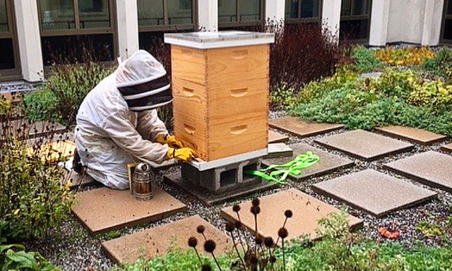 students working with bees