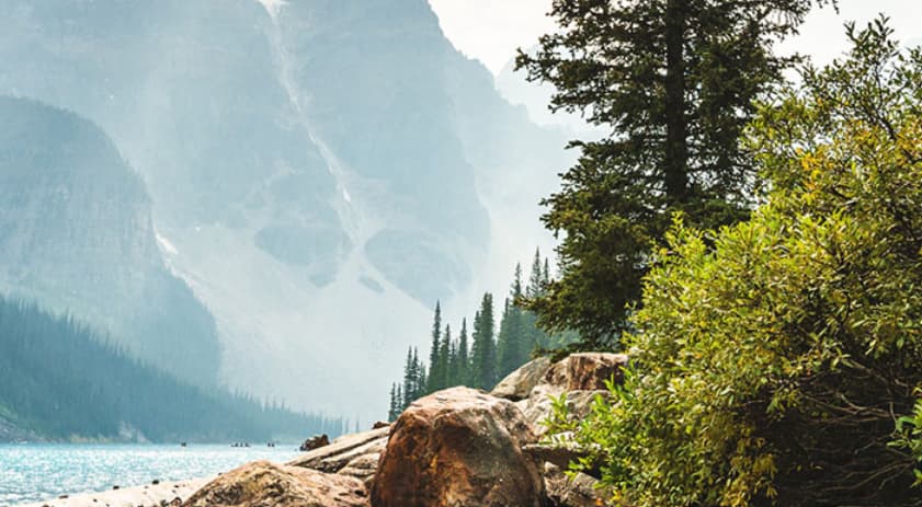 Center for Environmental Policy nature header pic