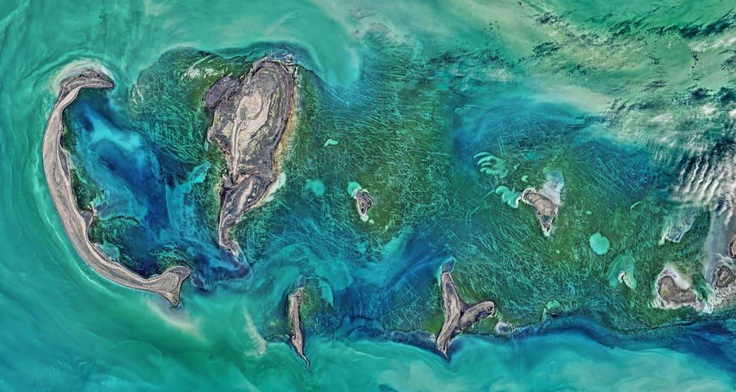 institute for carbon removal