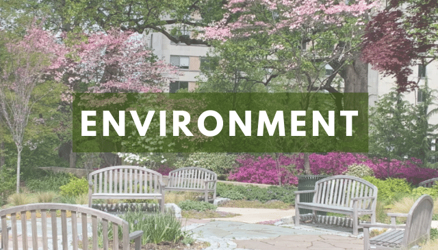 AU garden with Environment text overlay