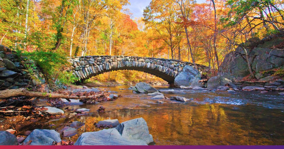 Rock Creek Park showing stone bridge during fall foliage.