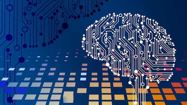 Brain and circuits diagram. Credit: Steve Johnson, Unsplash.