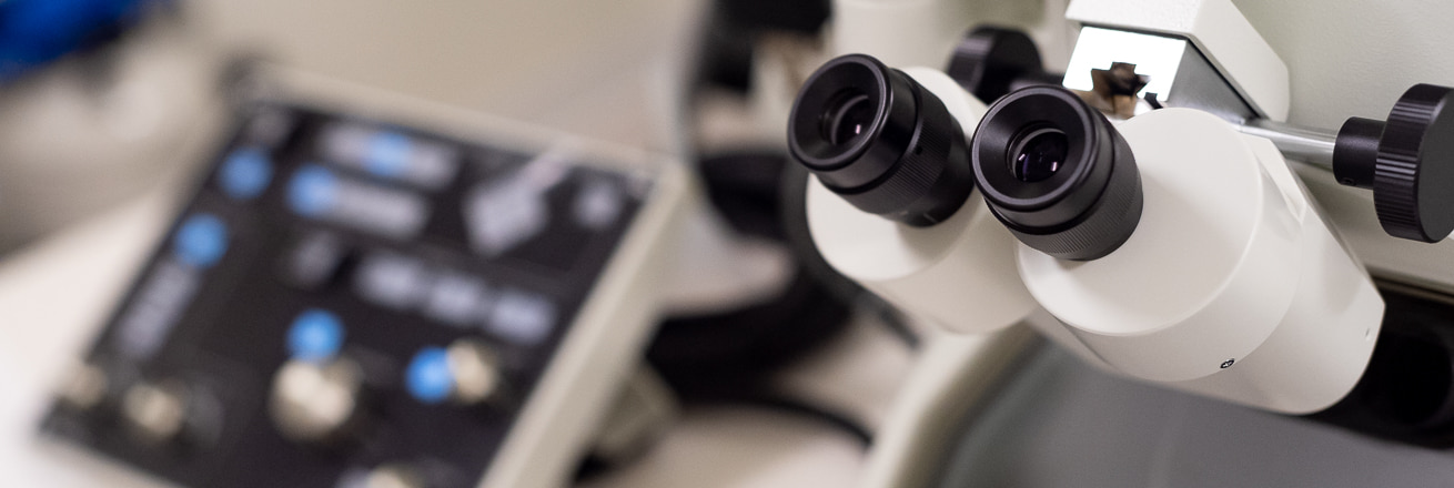 Transmission Electron Microscope