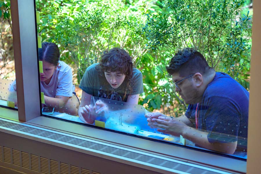 Students step in to place the decals on the Hall of Science window. Photo by Jeff Watts.