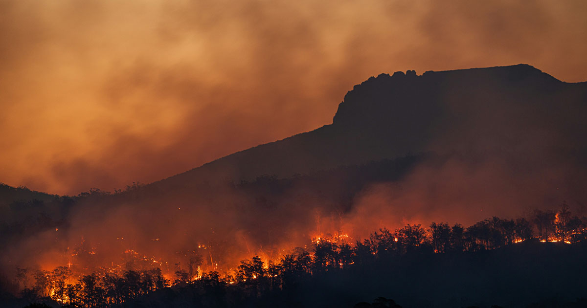 Wildfire in forest; smoky sky. 
