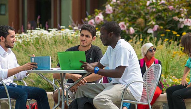 Students sitting on the quad during summer