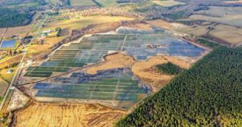 Colonial Eagle solar farm in Kelford, North Carolina (photo credit: Coho Climate Advisors).