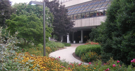 Various types of colorful flowers surround the bridge