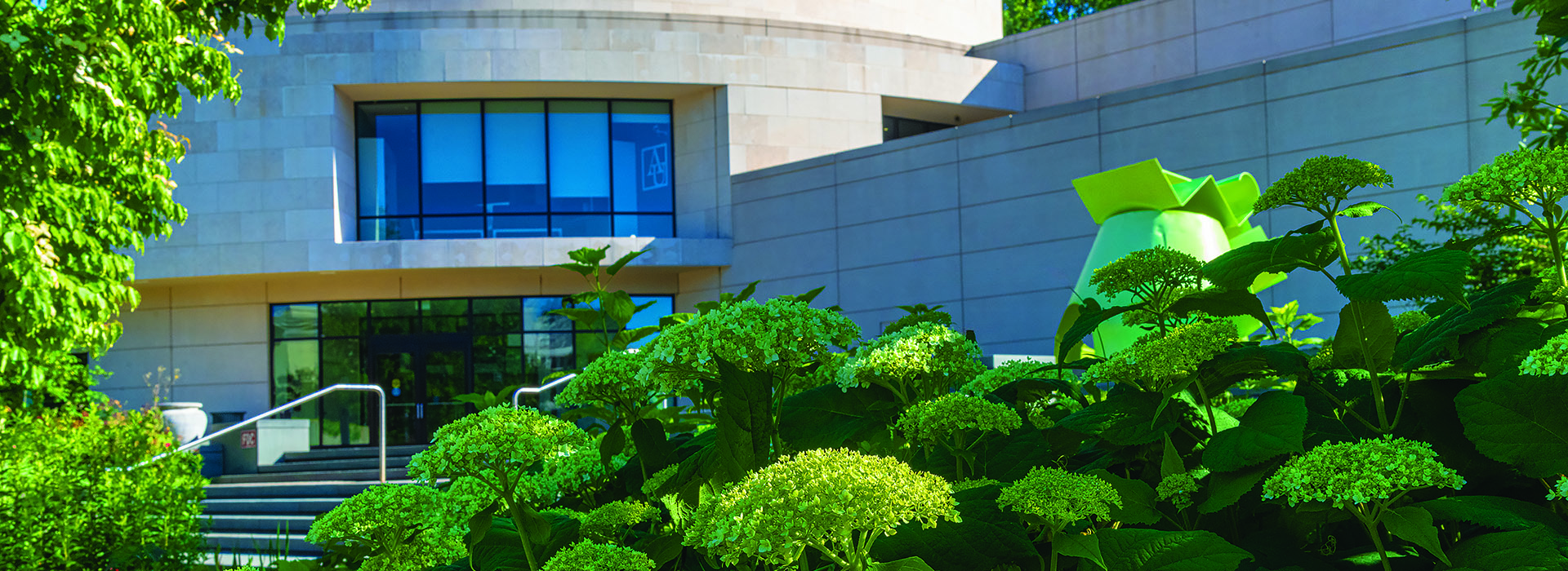 American University Museum at the Katzen Arts Center exterior with hydrangeas