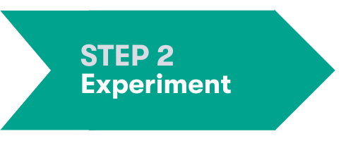 Step 2: Experiment Step 2: Experiment