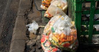 Food Waste