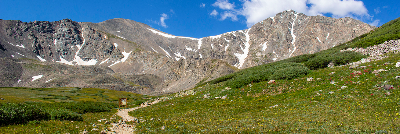 Grays and Torreys Peaks