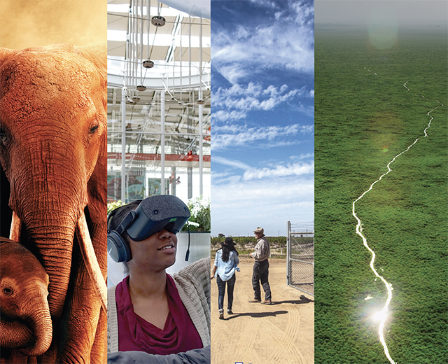 Impact Media Research Picture