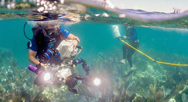 A man wearing a scuba suit operates an underwater camera.