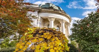 SOC in the Fall.