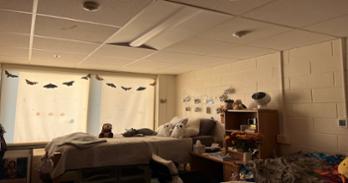 Best Nest 2024 Winner 3