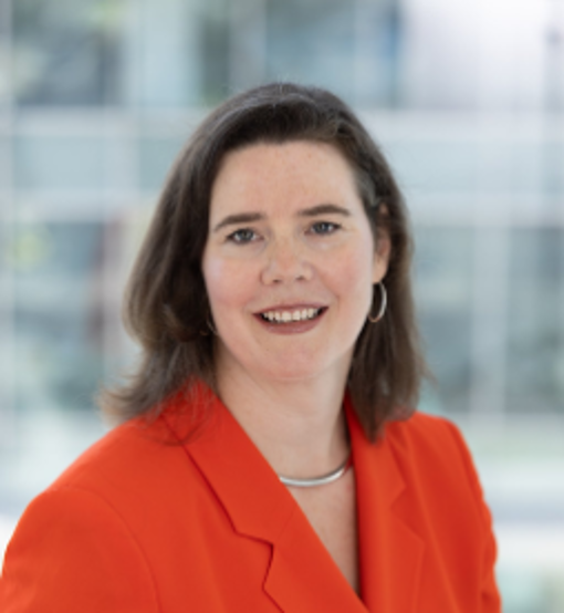 Professor Hilary Allen publishes Fintech Dystopia: A Summer Beach Read about Silicon Valley Ruining Things (Summer 2025)