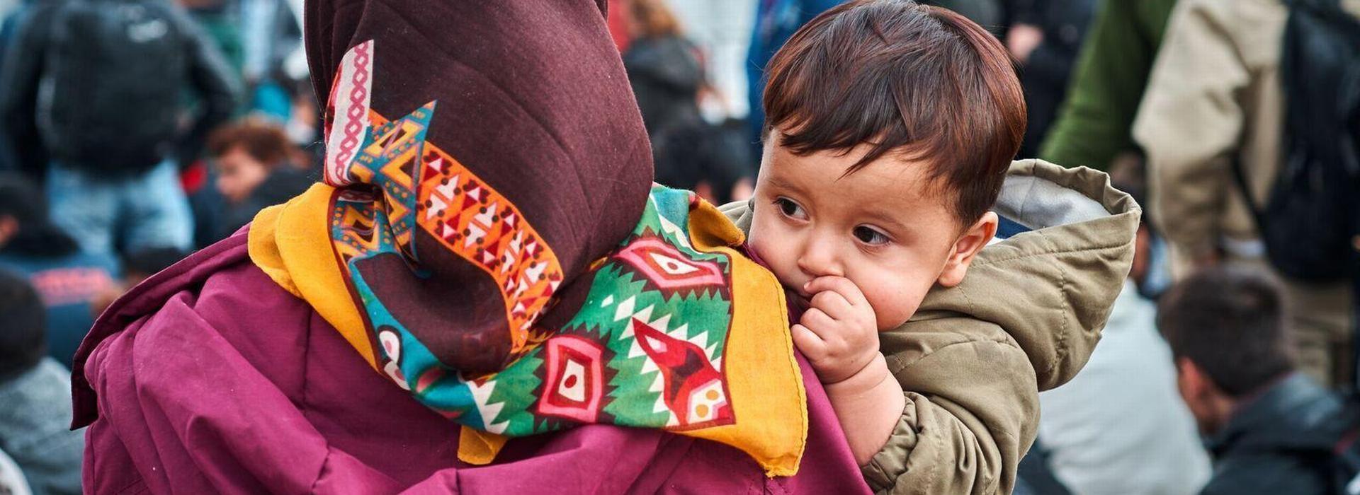 Immigration Law - Areas Of Study