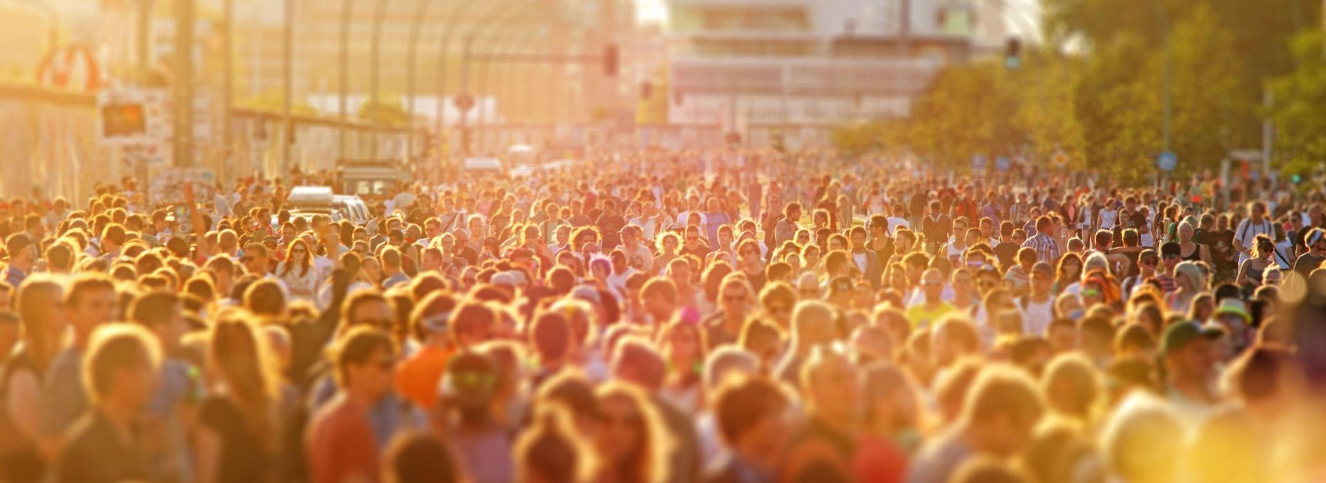 Specialized Curricula