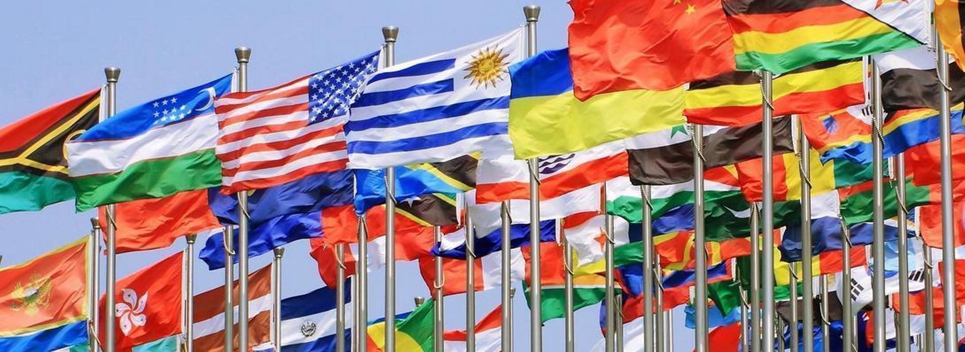 International and Comparative Law