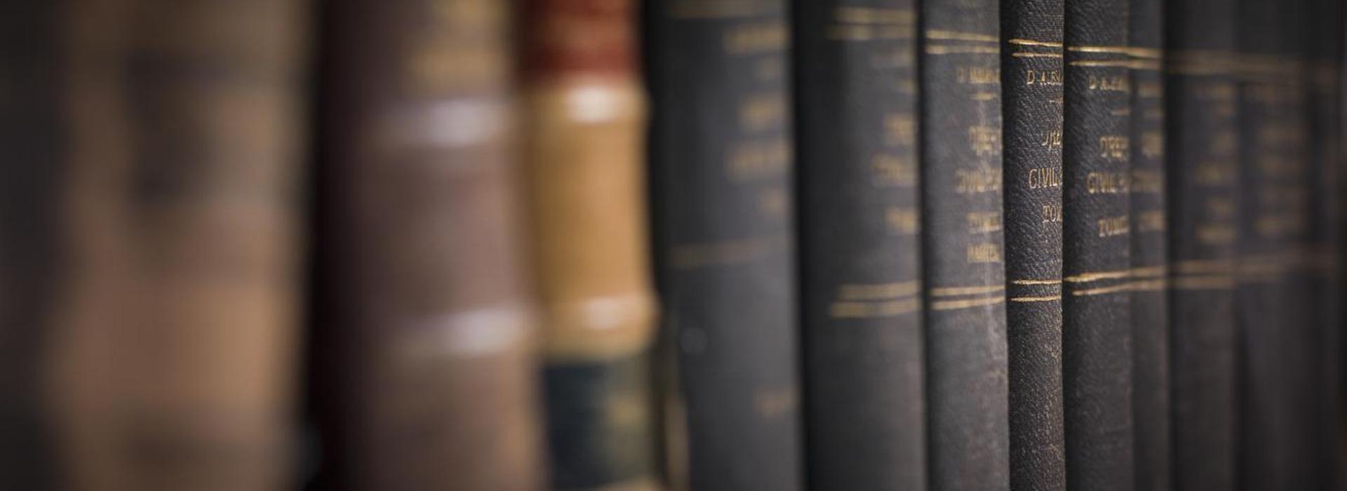 Legal Language Programs