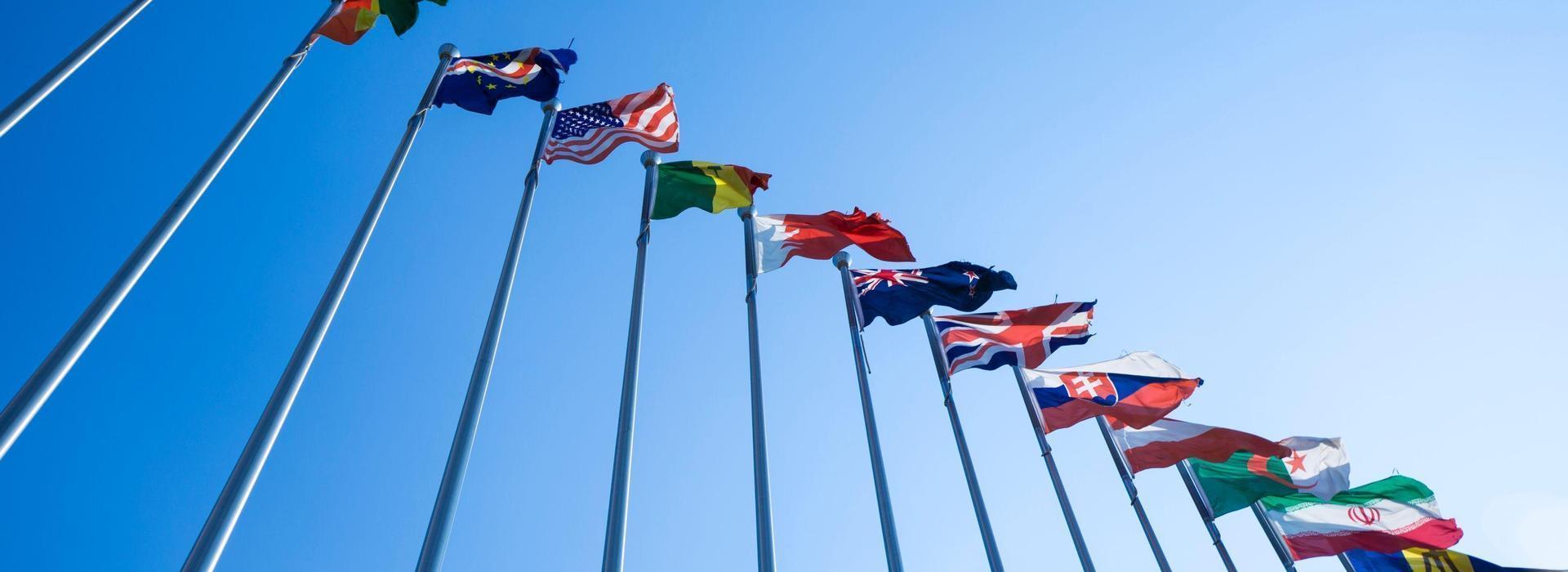 International Advocacy