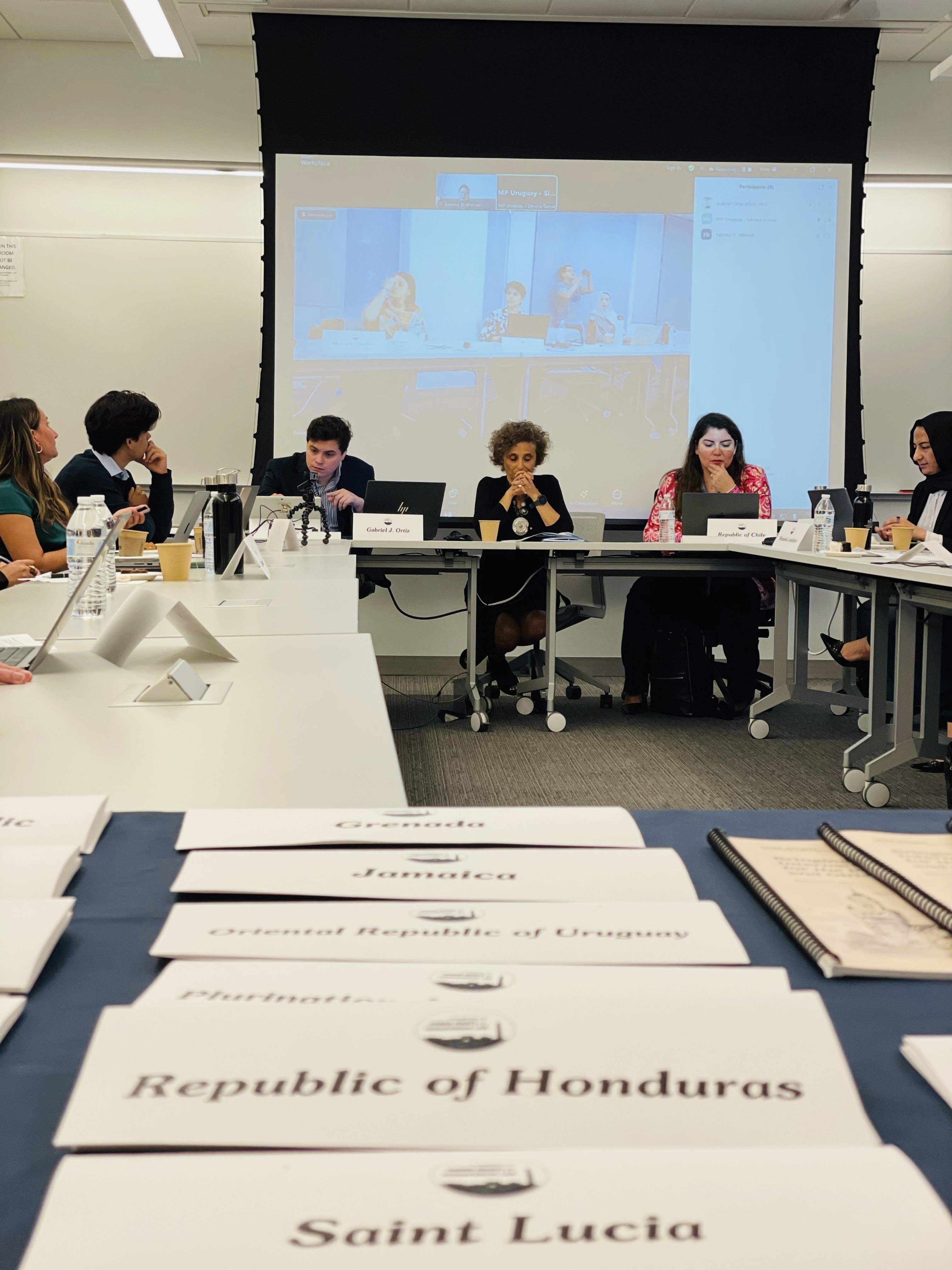 Sesión de trabajo privada entre los miembros de la OEA, activistas y Rawadari