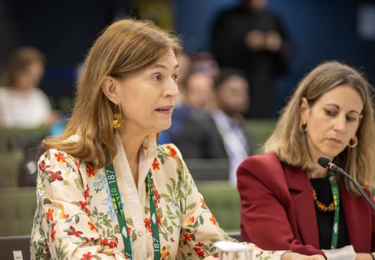 Viviana Krsticevic, Directora Ejecutiva del Centro para Justicia y Derecho Internacional Viviana Krsticevic, Directora Ejecutiva del Centro para Justicia y Derecho Internacional