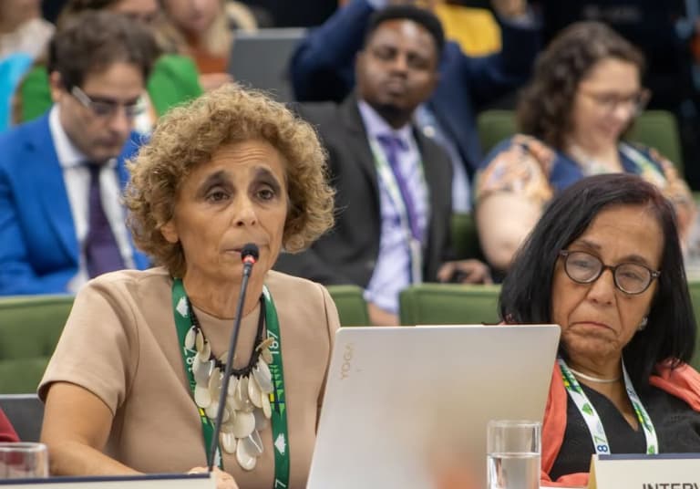 Claudia Martin, Co-directora de la Academy de Derechos Humanos en AUWCL Claudia Martin, Co-directora de la Academy de Derechos Humanos en AUWCL